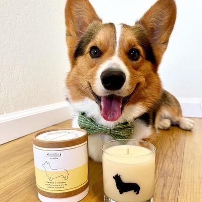 Factory Wholesale Customize Eco Friendly White Cardboard Paper Tube Packaging Paper Box for Pet Treats Towel Hair Pin Candle